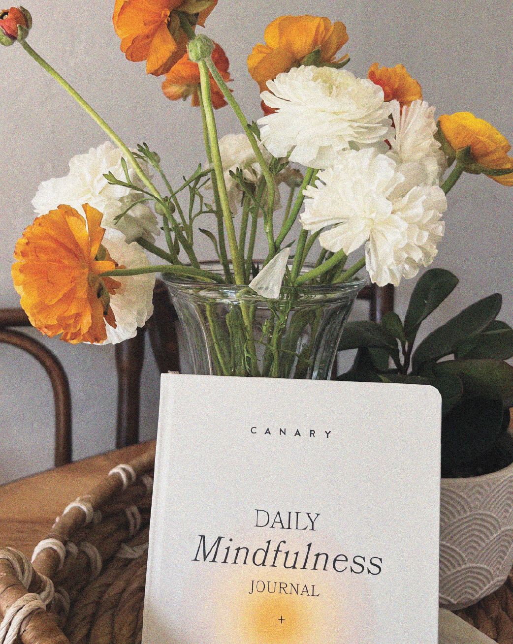 18. THE CANARY MINDFULNESS JOURNAL