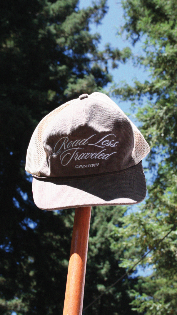19. THE CANARY NFC HATS