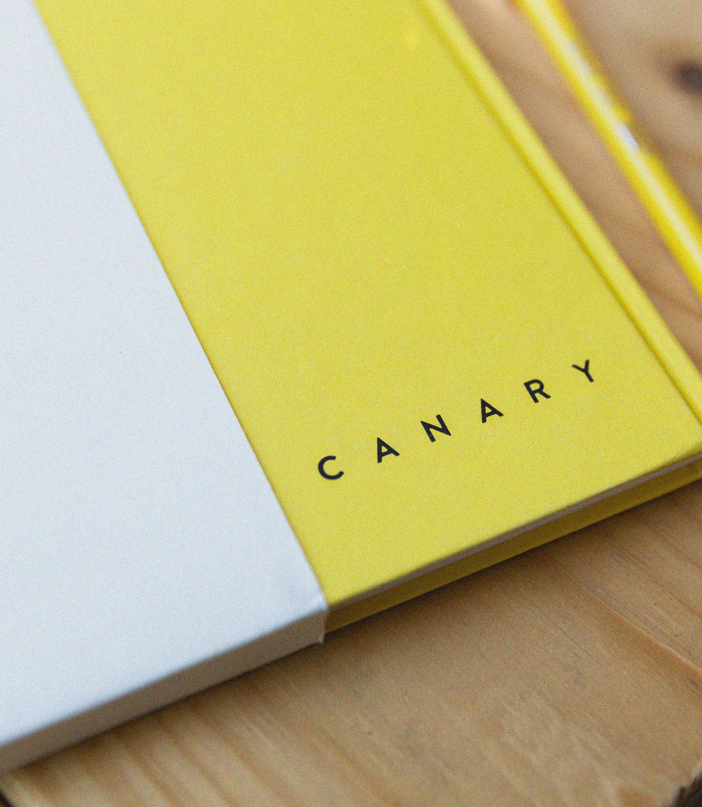 21. THE CANARY NOTEBOOK