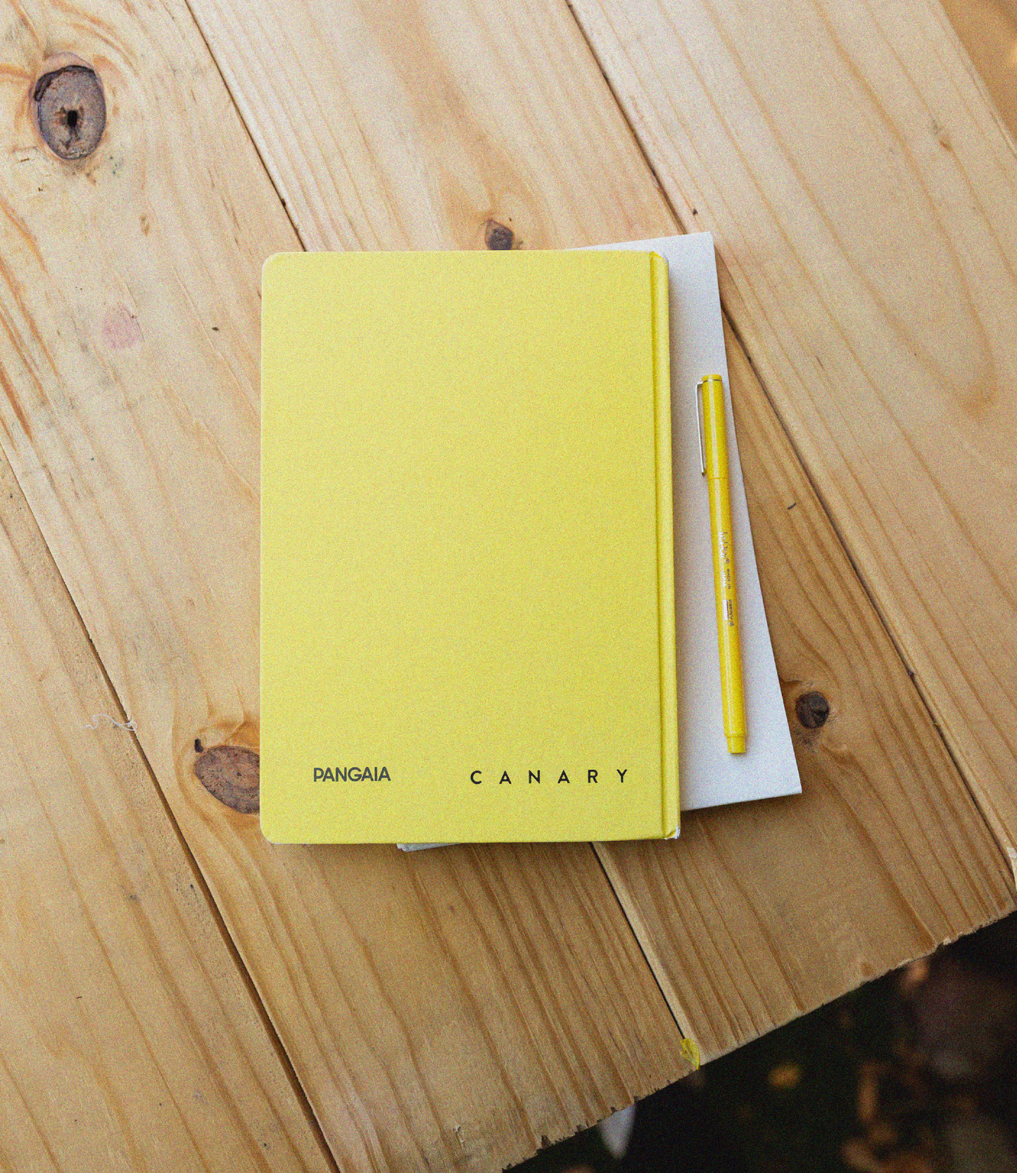 21. THE CANARY NOTEBOOK