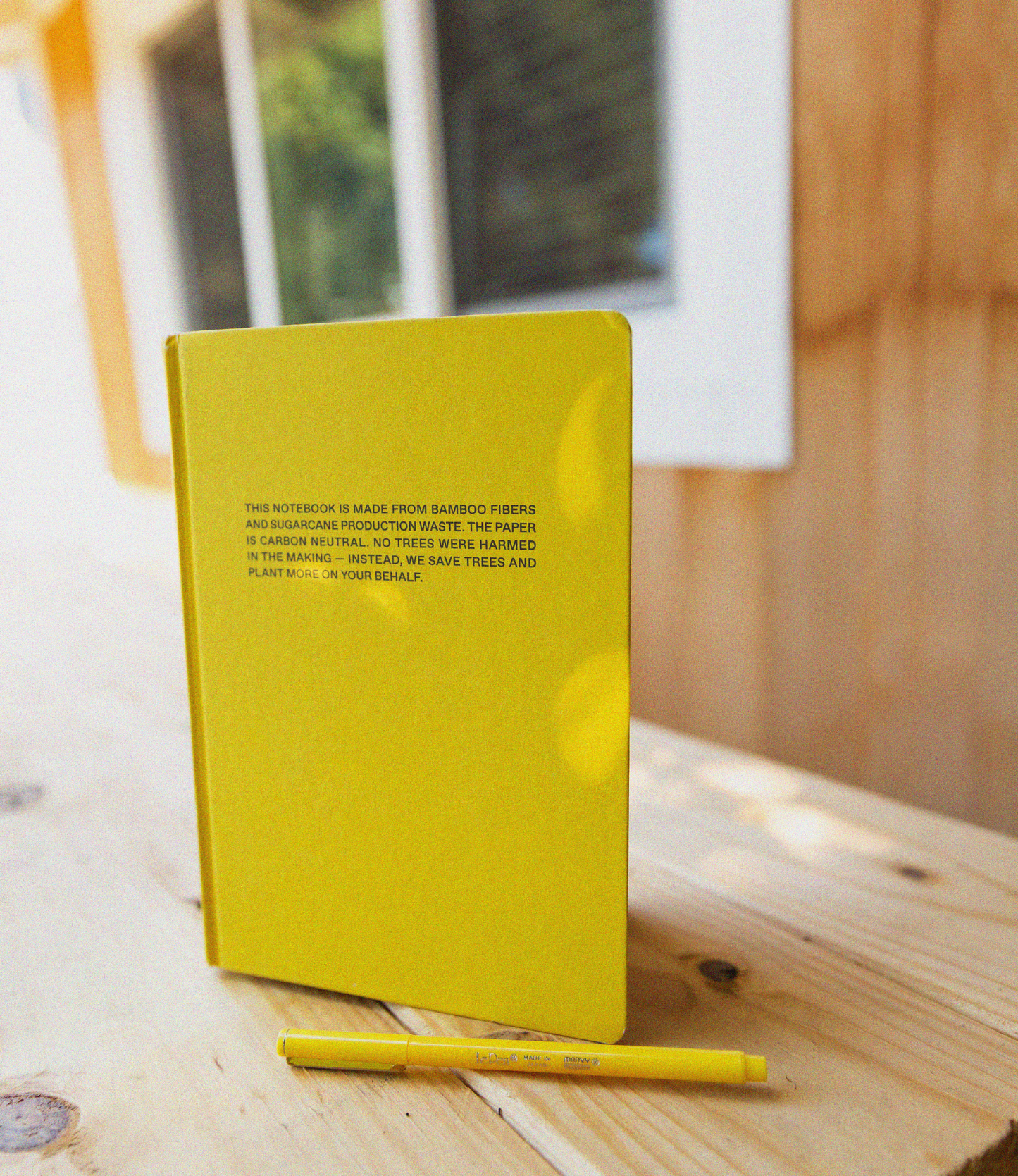 21. THE CANARY NOTEBOOK