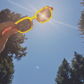 THE SUNSKI X CANARY SUNGLASSES - FESTIVAL EDITION